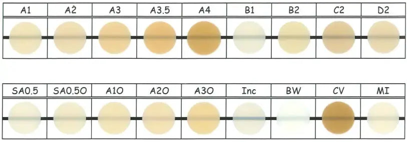 Shofu Beautifil Flow Plus Composite Tips 0.21gram x 20 tips - RMH3 Digital by RMH3 Dental