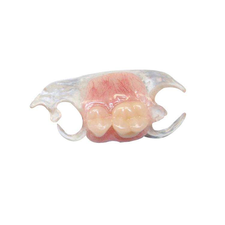 Clearmet Partials Denture Resin 5/Pk