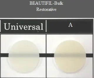 Shofu Beautifil-Bulk Restorative Kit Shofu Dental Corp