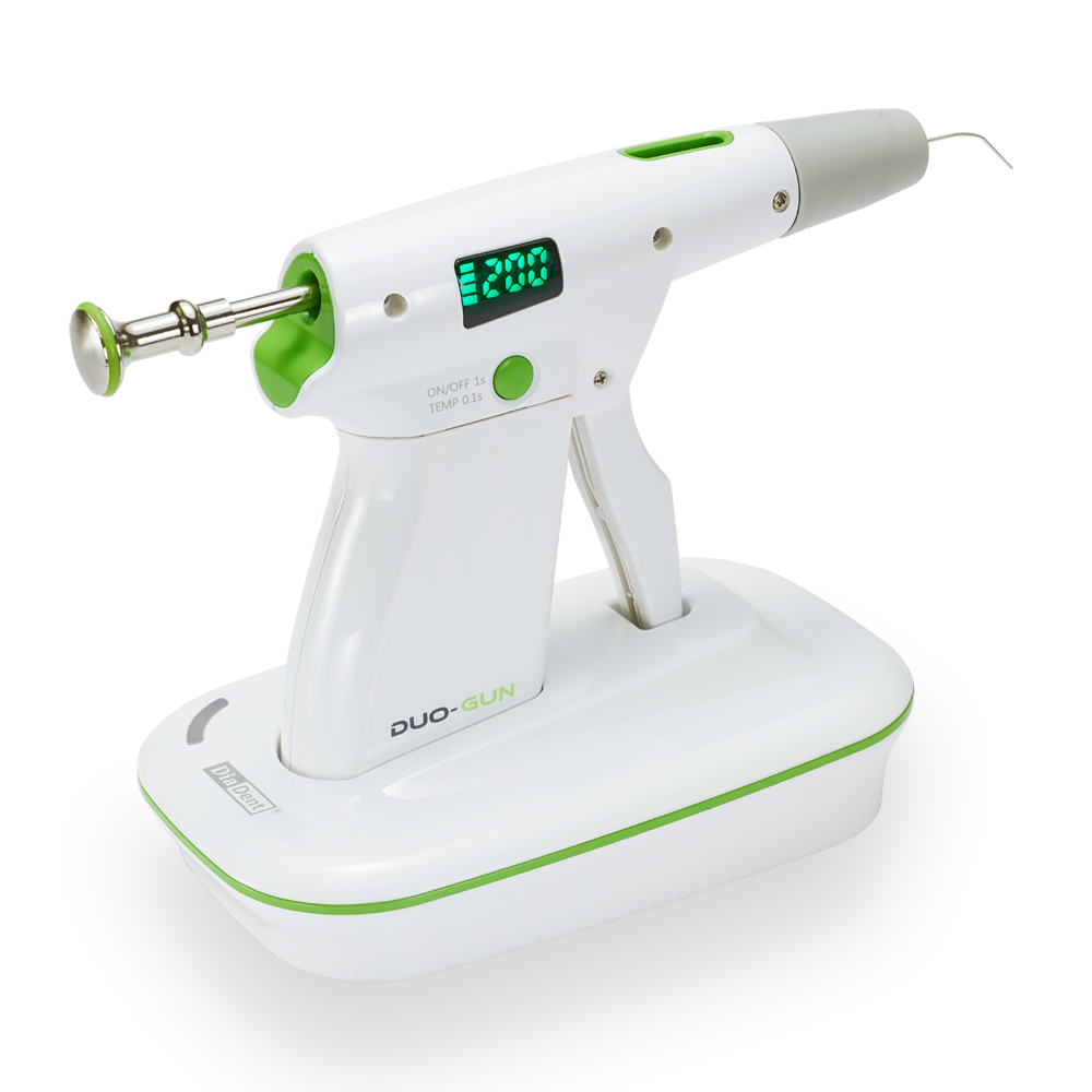 DiaDent Duo-Gun Charger