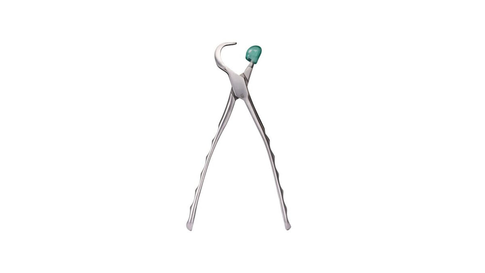 Directa Physics Forceps Upper Right GMX 100