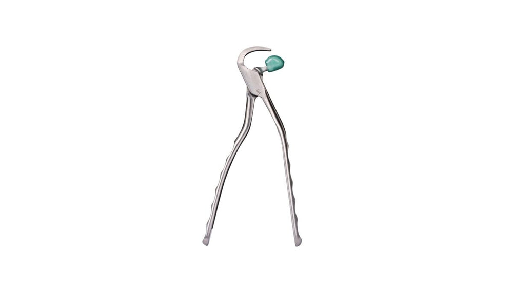 Directa Physics Forceps Upper Anterior GMX 100