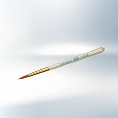 Renfert Takanishi brushes (6 pcs)