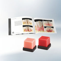 Renfert Gingiva Pink Trans A Bruguera