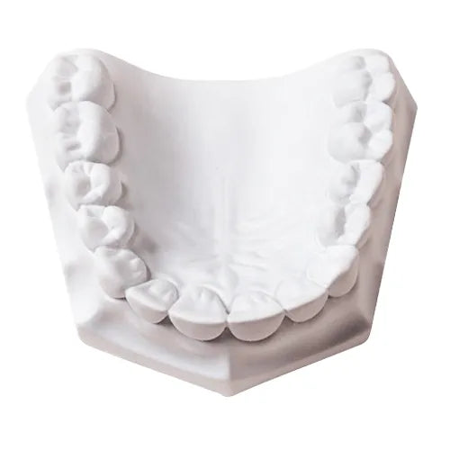 Whip Mix Orthodontic Stone White ISO Type 3 Dental Stone 33 lb / 15 kg