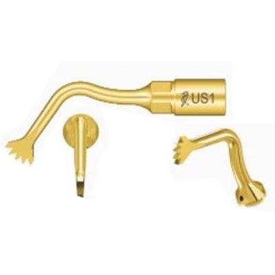 Guilin Woodpecker Medical Instrument Woodpecker DTE Ultrasonic Scaler US1 Tips