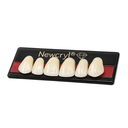 New Stetic NewCryl Lower Anterior Denture Teeth, Mould 2D, Shade A4, 6/Card thumbnail 2