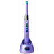 Guilin Woodpecker Medical Instrument Woodpecker DTE iLED Purple