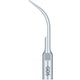Guilin Woodpecker Medical Instrument Woodpecker DTE GD5 Tips pack of 5