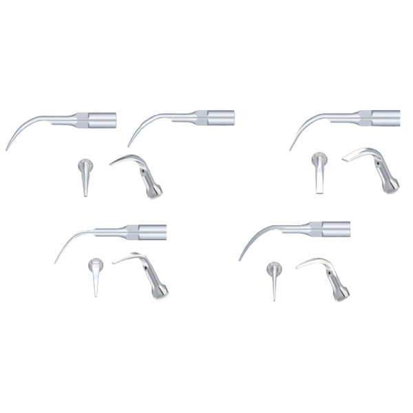 Woodpecker DTE Assorted Silver Tips — 5/Pack
