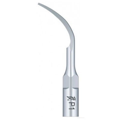 Guilin Woodpecker Medical Instrument Woodpecker DTE P1 tip pack of 5