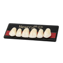 New Stetic NewCryl Lower Posterior Denture Teeth, Mould 32M, Shade B3, 8/Card thumbnail 2