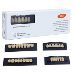 Synthetic Polymer Denture Teeth, Shade A2, Full Set of 28 Teeth, Size T8