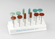 Shofu Gold Polishing Kit, HP Handpiece, Brownie/Greenie/Supergreenie, 12/pk