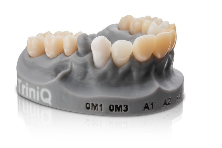 VarseoSmile TriniQ by Bego 500g - RMH3 Digital by RMH3 Dental