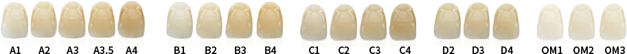 Aidite 3D PRO Dental Zirconia Disc 98mm x 16mm Shade A4