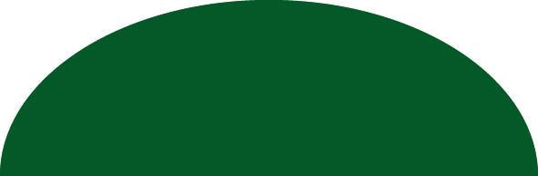 Bego Wax Profile Half-round 1.15 x 1.75MM