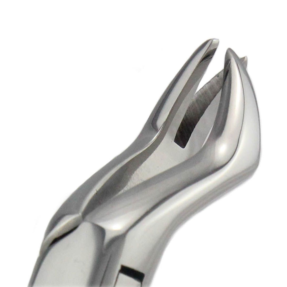 Muzamal Surgical Extracting Forceps US Patt # 88L