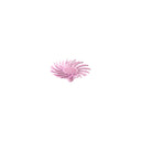 Dedeco SUNBURST 1/2" SNAP-ON DIAMOND LAV HIGH-GLOSS 15/BX thumbnail 2