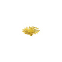 Dedeco Sunburst 1/2" TC Snap-On Yellow 80 Grit (A/O) 30/Bx thumbnail 3
