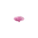 Dedeco Sunburst 1/2" TC Snap-On Discs Pink 600 Grit (PUMICE) 30/Bx thumbnail 4