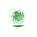 Dedeco Sunburst 5/8" TC KNIFE-EDGE Light Green 1 Micron (A/O) 48/BX thumbnail 2