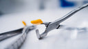 Directa Physics Forceps Molar GMX 400 EZ2 thumbnail 4