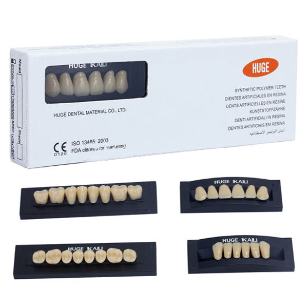 Kaili Synthetic Polymer Denture Teeth, Shade A1, Full Set of 28 Teeth, Size T6
