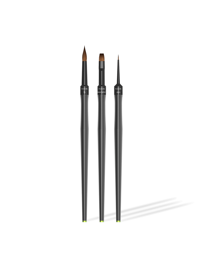 Harvest Dental Fusion Hybrid Kolinsky Brush and Tip-Master Kit / 6