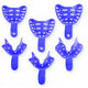 Keystone Edentulous Tray Aways Perforated Impression Trays, Assorted Sizes, 12/Pack