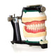 Keystone Luxury Deluxe Articulator