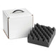 Keystone Cardboard Articulator Box