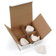 Keystone Model Storage Box, 25/Pack