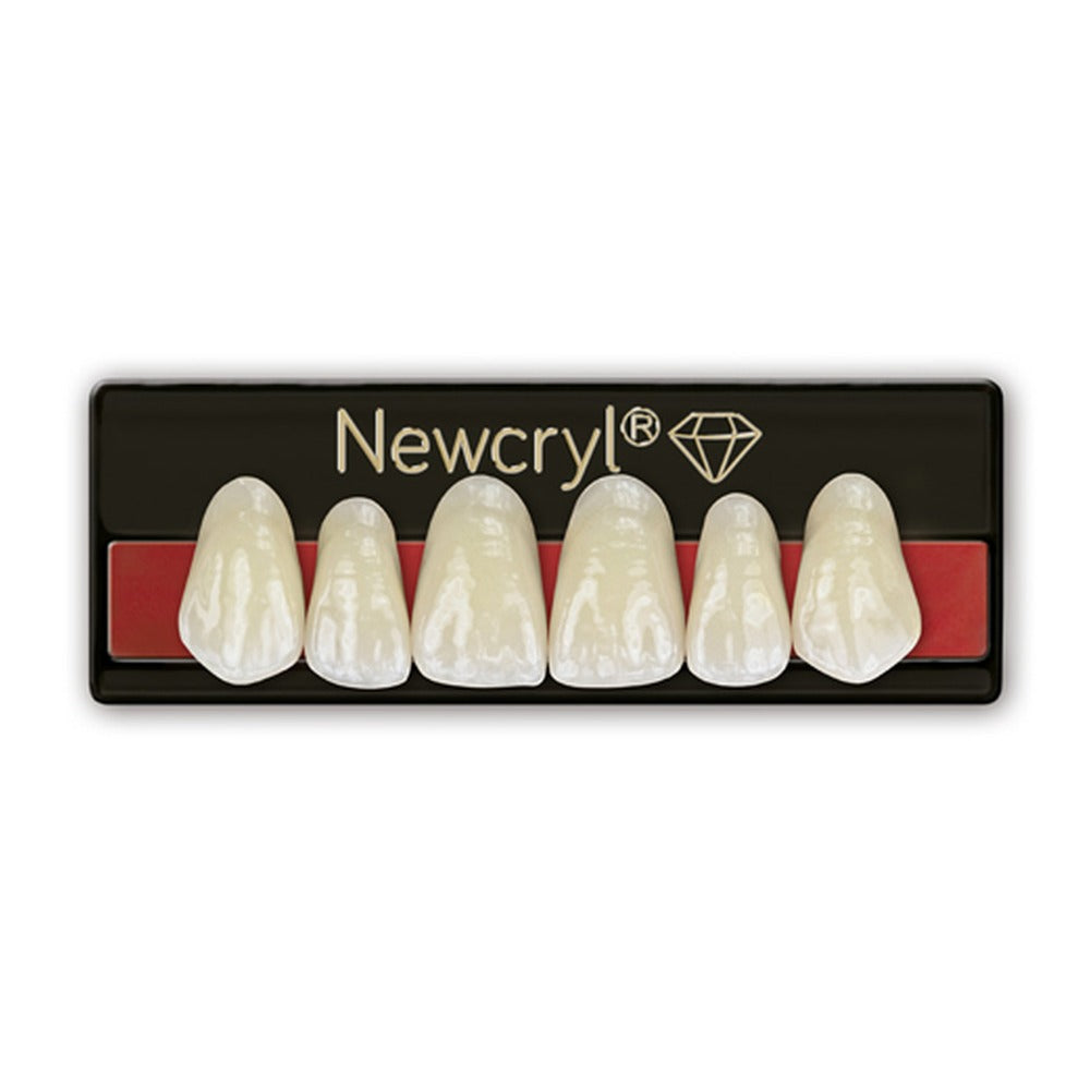 New Stetic NewCryl Upper Anterior Denture Teeth, Mould 3N, Shade C1, 6/Card
