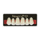 New Stetic NewCryl Upper Anterior Denture Teeth, Mould 3N, Shade C1, 6/Card