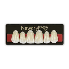 New Stetic NewCryl Upper Anterior Denture Teeth, Mould 266, Shade B2, 6/Card