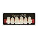New Stetic NewCryl Lower Anterior Denture Teeth, Mould 3D, Shade B2, 6/Card thumbnail 1