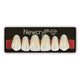 New Stetic NewCryl Denture Teeth, Shade A0, Size 2E, 6/Card