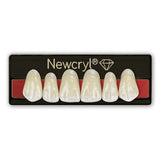 Acrylics & Denture Materials