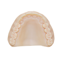 Pac-Dent Rodin Model TAN, 1kg/bottle thumbnail 6
