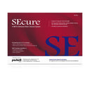 Parkell SEcure Resin Cement, Translucent Shade (9gm-Syringe & 10 Tips) thumbnail 2