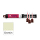 Parkell SEcure Resin Cement, Dentin Shade (9gm-Syringe & 10 Tips)