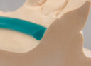 Renfert GEO Lingual Bars, 4 x 2 mm thumbnail 11