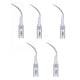 Woodpecker DTE PD1 Tips — 5/Pack