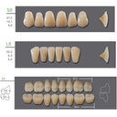 Kaili Synthetic Polymer Denture Teeth, S8/L8/34, Shade A2, Full Complete — 4 Sets thumbnail 4