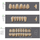 Kaili Synthetic Polymer Denture Teeth, S6/L6/32, Shade A3, Full Complete — 4 Sets thumbnail 2