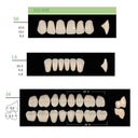 Kaili Synthetic Polymer Denture Teeth, S8/L8/34, Shade A3.5, Full Complete — 4 Sets thumbnail 4