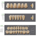 Kaili Synthetic Polymer Denture Teeth, T10/L10/36M, Shade D2, Full Complete — 4 Sets thumbnail 4