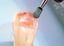 HP Dura-Green thumbnail 12