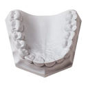 Whip Mix Orthodontic Stone White 50 lb / 22 kg thumbnail 1